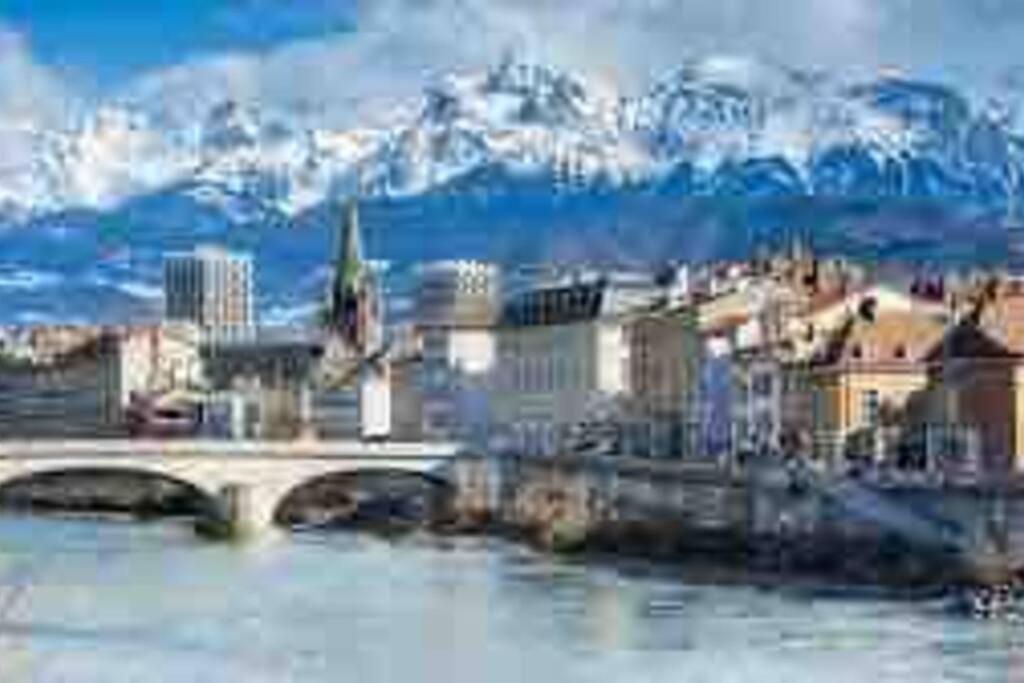 Grand Appartement Avec Vue Magnifique - Vercors - Une Experience Unique - Wifi Gratuit Grenoble Esterno foto