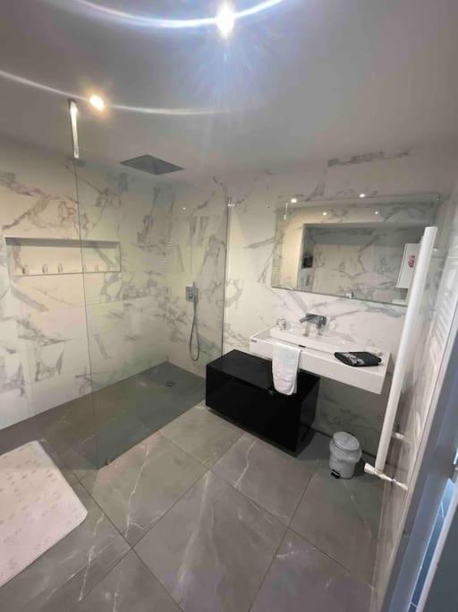 Grand Appartement Avec Vue Magnifique - Vercors - Une Experience Unique - Wifi Gratuit Grenoble Esterno foto