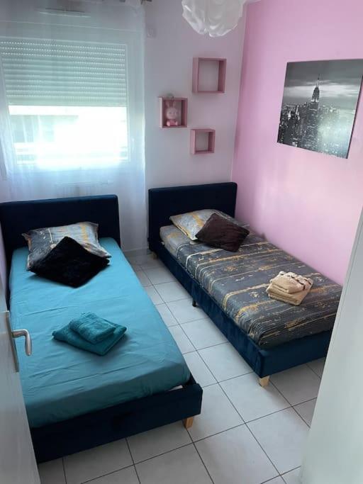 Grand Appartement Avec Vue Magnifique - Vercors - Une Experience Unique - Wifi Gratuit Grenoble Esterno foto