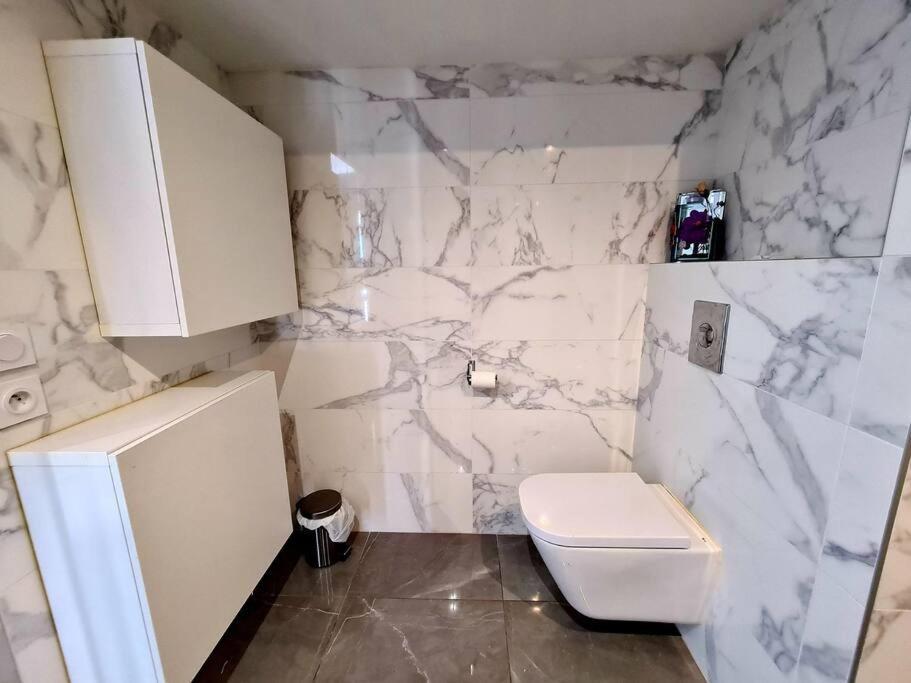 Grand Appartement Avec Vue Magnifique - Vercors - Une Experience Unique - Wifi Gratuit Grenoble Esterno foto