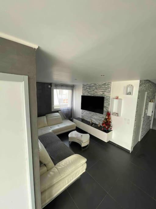 Grand Appartement Avec Vue Magnifique - Vercors - Une Experience Unique - Wifi Gratuit Grenoble Esterno foto